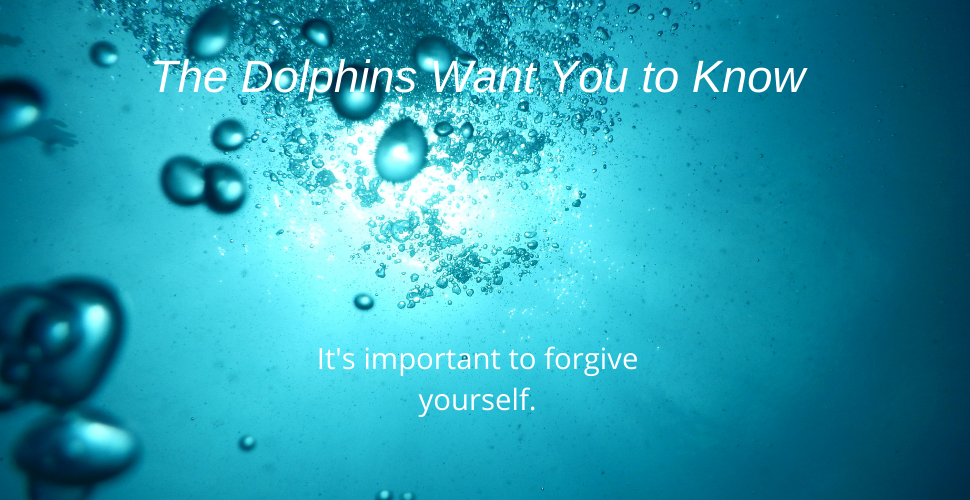 Blog Forgive yourself dolphin message