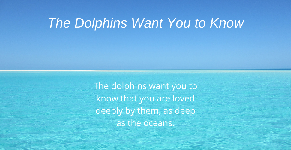 Blog You are deeply loved dolphin message